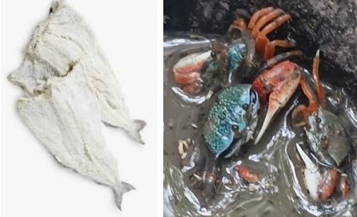 Poisson fumé artisanal