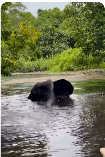 Escapade à Akiéni : visite des chutes et du Ranch